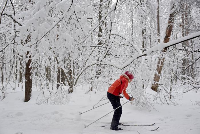 Тренировки по фитнесу, бегу на лыжах и катанию на коньках пройдут в новом спортивном сезоне "Зимы в Москве"