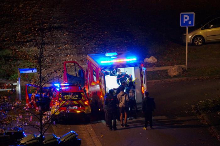 Во Франции большая металлическая птица рухнула на гостей фестиваля