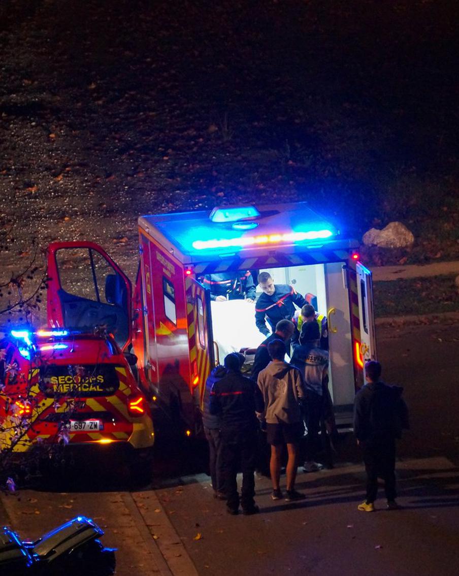 Во Франции большая металлическая птица рухнула на гостей фестиваля