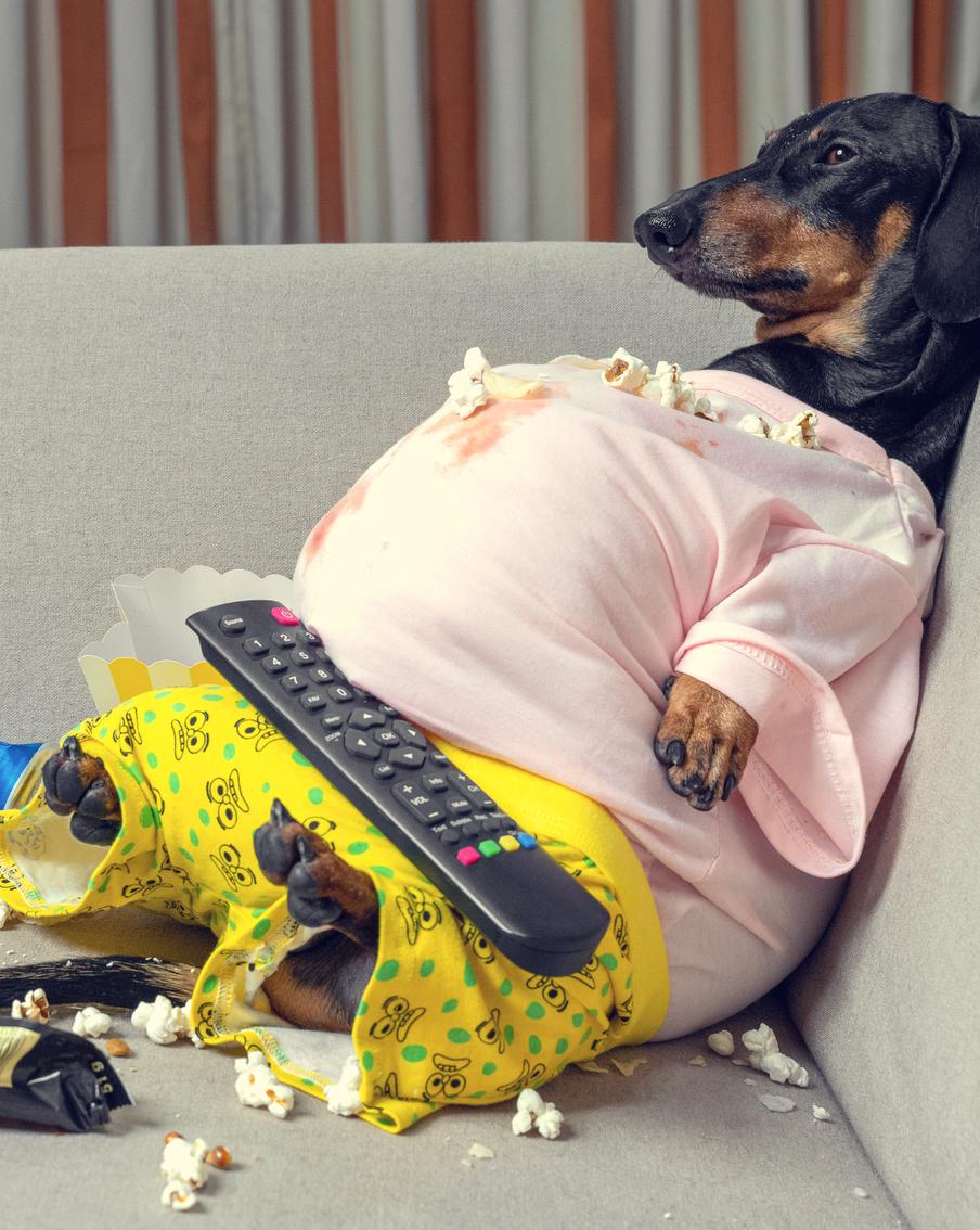 Лень – дурная черта характера, которая заложена в психике. Стоит ли осуждать себя за лежание на диване?