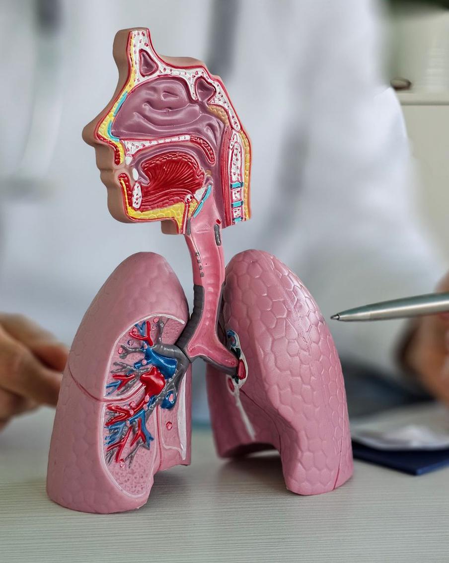 Есть ли в России эпидемия микоплазменной пневмонии и в чём её опасность