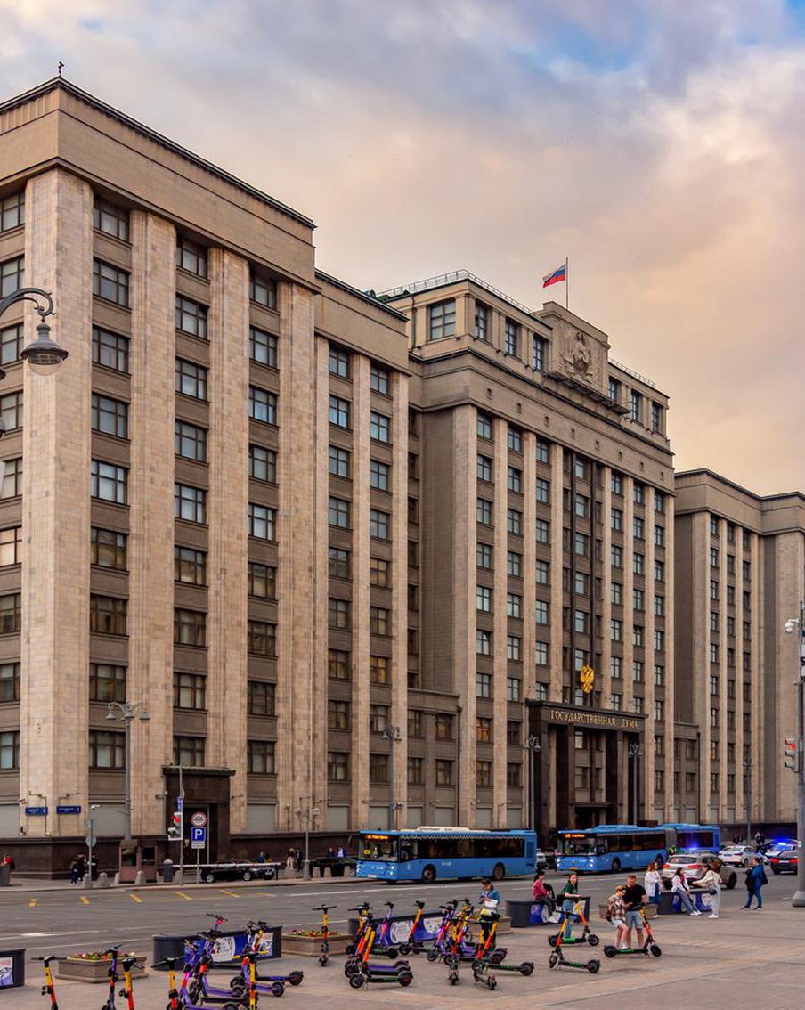 "Коммерсант": дочь Жириновского станет кандидатом в Госдуму от ЛДПР