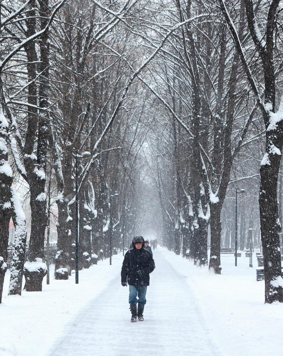 Более трети месячной нормы осадков выпало в Москве за прошедшие сутки