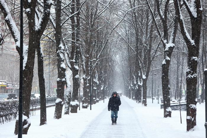 Более трети месячной нормы осадков выпало в Москве за прошедшие сутки