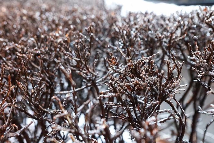 Синоптики прогнозируют резкое ухудшение погоды в Москве. Жителей столицы ожидает ледяной дождь
