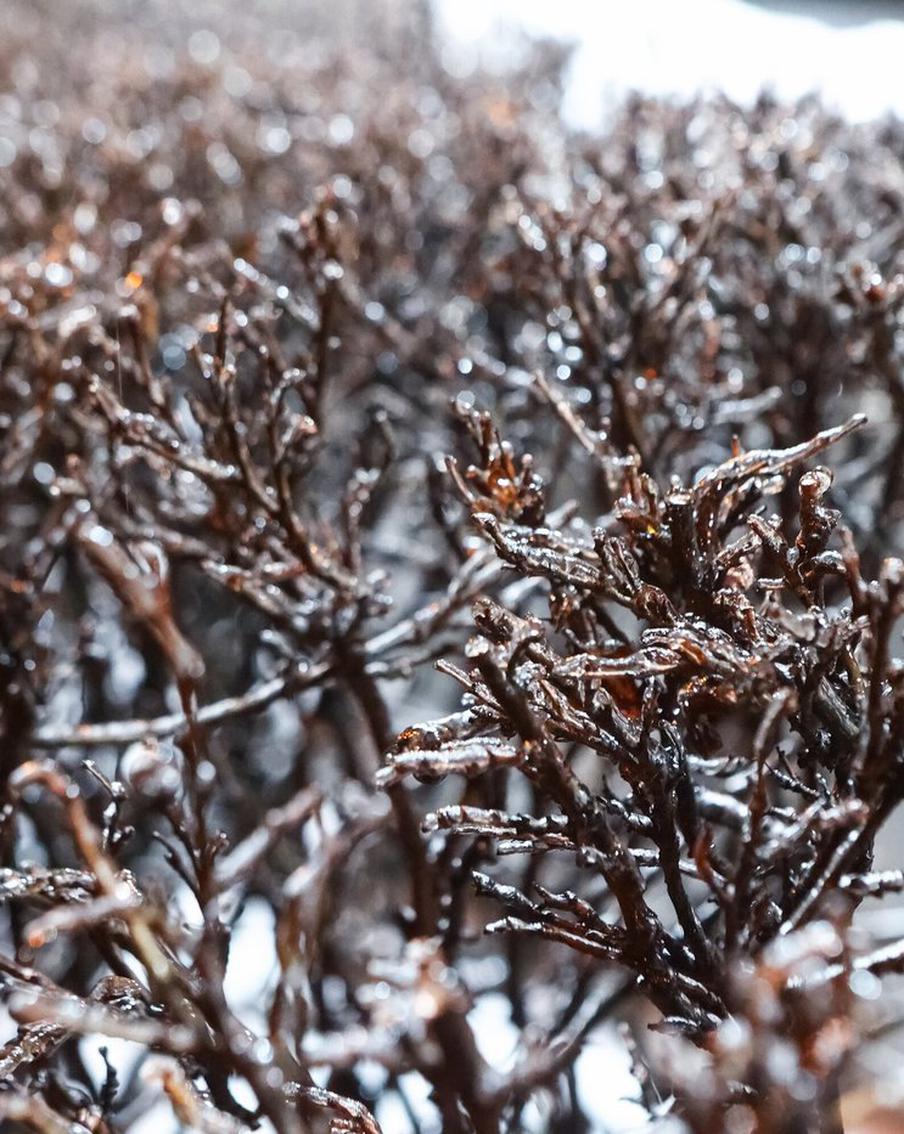 Синоптики прогнозируют резкое ухудшение погоды в Москве. Жителей столицы ожидает ледяной дождь