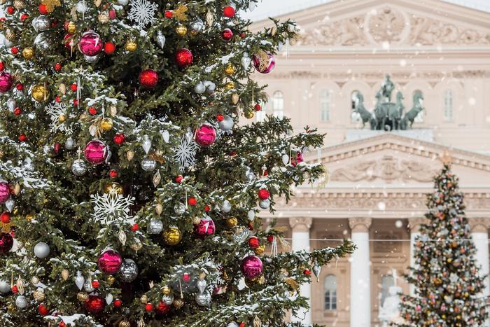 Нашедшему главную новогоднюю ёлку в Подмосковье подарили автомобиль