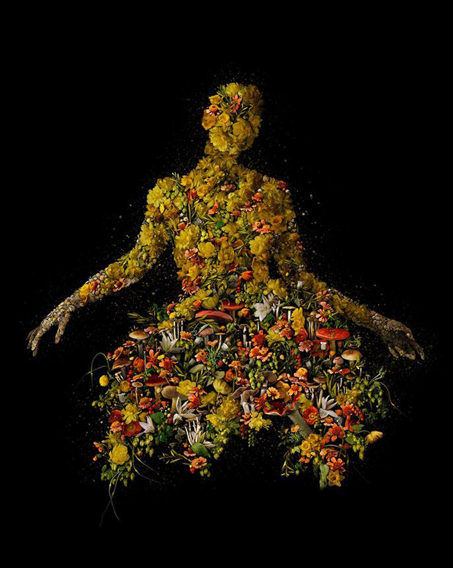 "Лихорадка мечты".