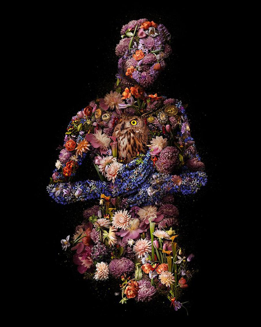 "Лихорадка мечты".