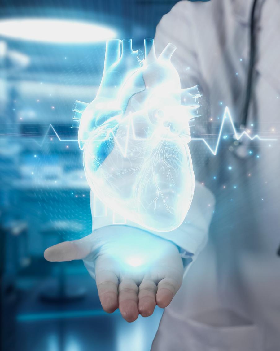 Сенсационное исследование: человек живёт после смерти в мозгах и сердцах других