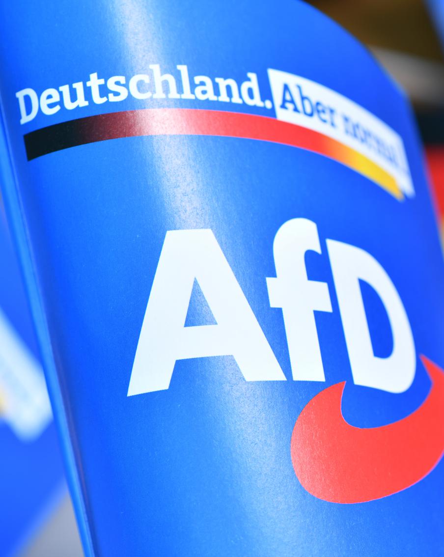 Правая партия в Германии приняла резолюцию за мир на русском языке