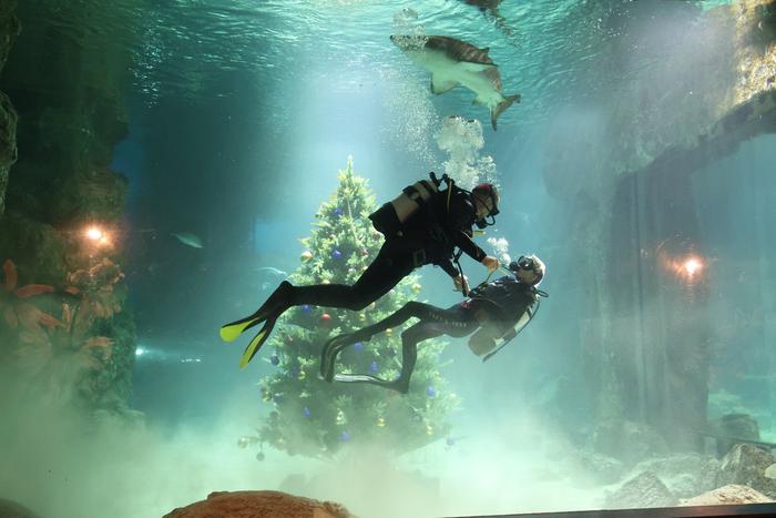 Кислородные баллоны, маски и ласты понадобились молодожёнам на необычной церемонии бракосочетания – прямо под водой