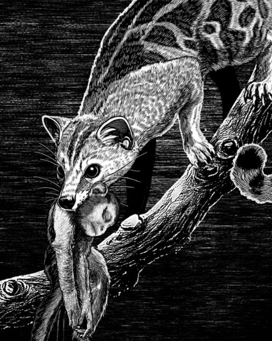 Не труд сделал из обезьяны человека, а страх перед чудищами