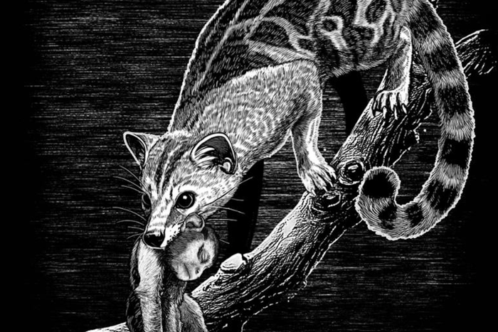 Не труд сделал из обезьяны человека, а страх перед чудищами