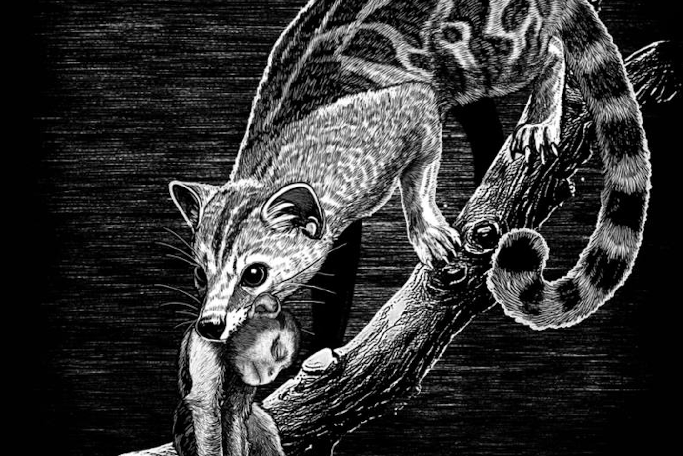 Не труд сделал из обезьяны человека, а страх перед чудищами