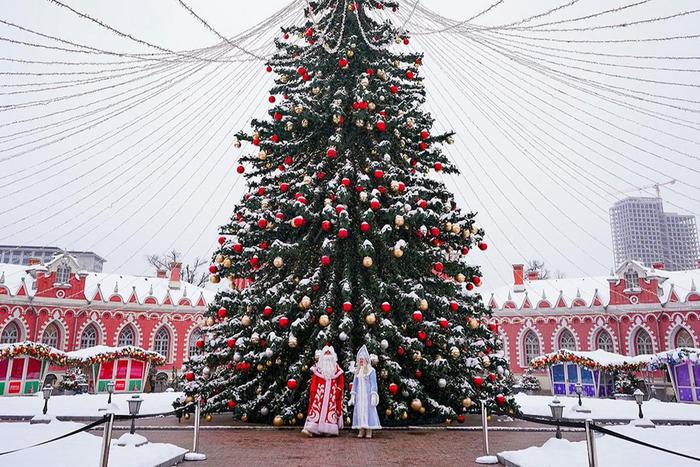 Москвичей пригласили на новогодние представления во дворец царской семьи