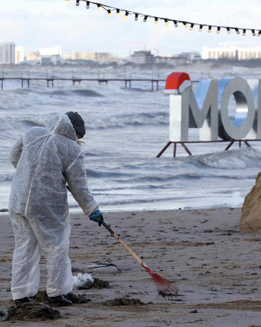 Что сейчас происходит на берегах Анапы, где случилась страшная экологическая катастрофа