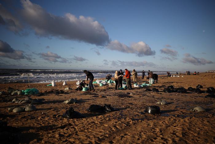 Губернатор Краснодарского края рассказал сколько времени потребуется для очистки побережья Анапы от мазута