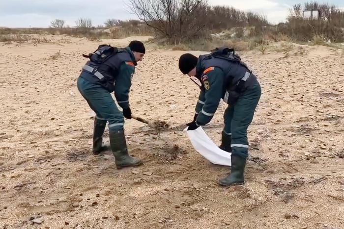 Губернатор Краснодарского края назвал количество волонтёров, которые ликвидируют разлив мазута в Чёрном море