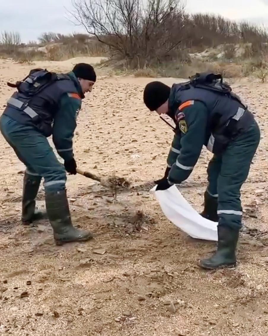 Губернатор Краснодарского края назвал количество волонтёров, которые ликвидируют разлив мазута в Чёрном море