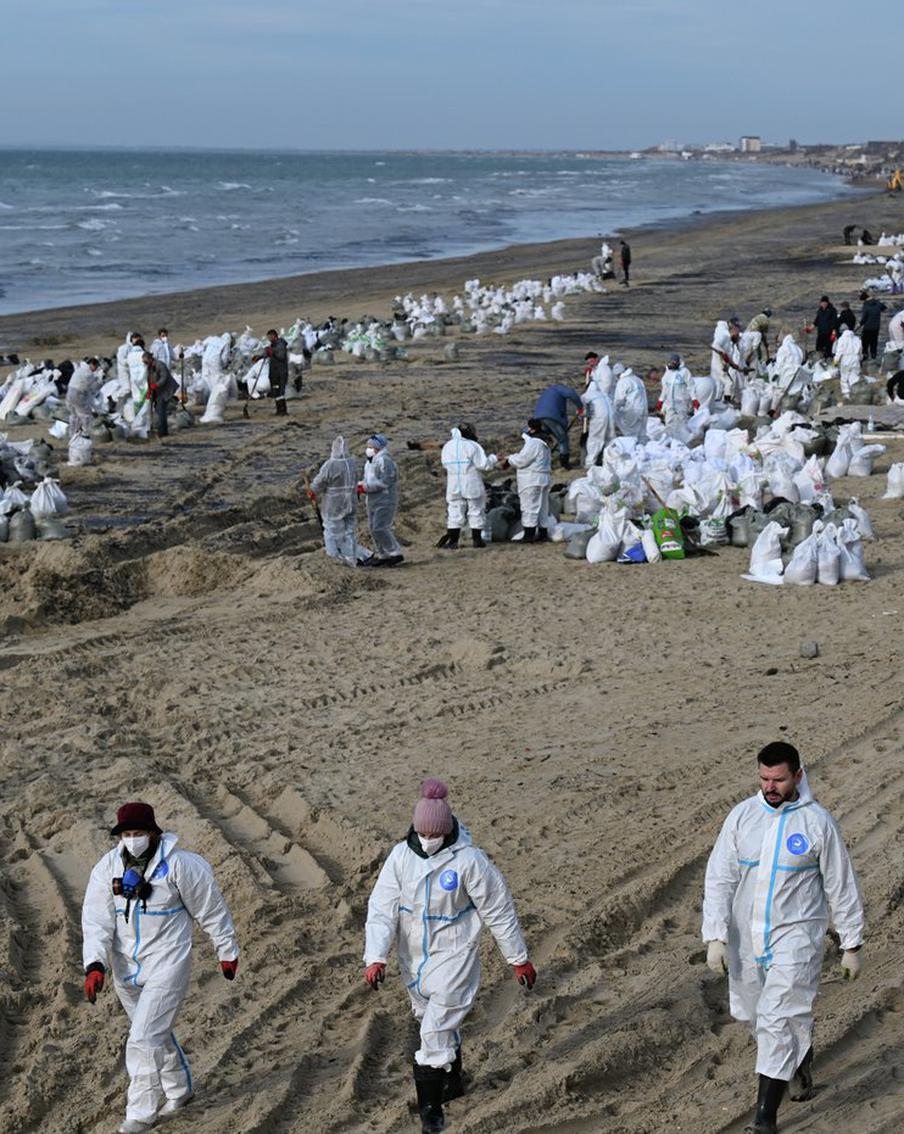 Заработал сайт для желающих помочь после разлива мазута на Кубани