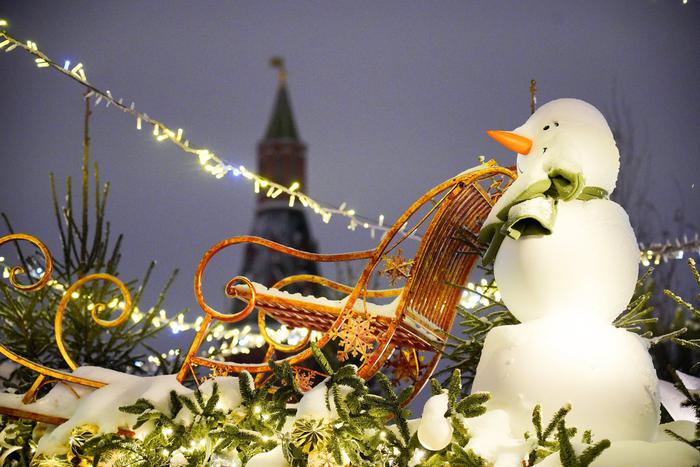 Конная прогулка, хаски и экскурсия с фонарщиком: как провести новогодние праздники в Москве