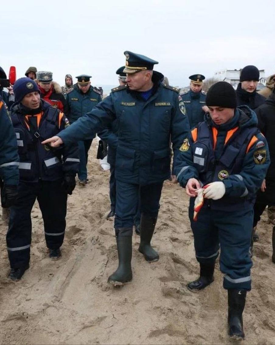 Федеральный режим ЧС в Керченском проливе: как волонтёры, рискуя здоровьем, спасают животных