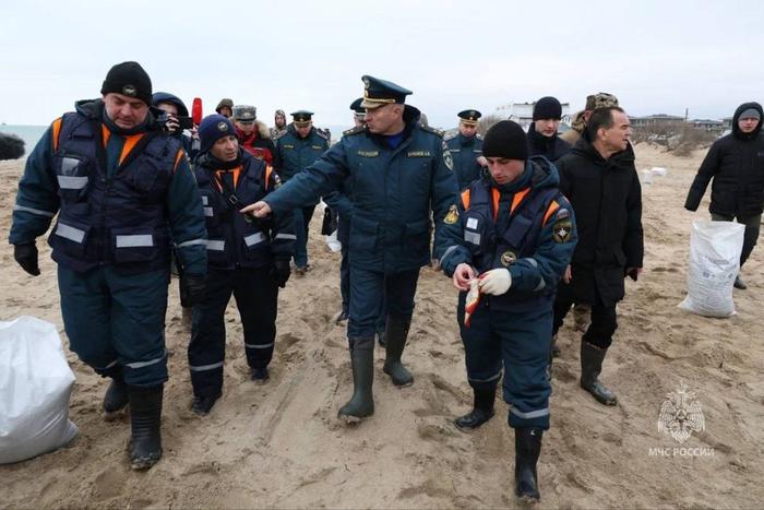 Федеральный режим ЧС в Керченском проливе: как волонтёры, рискуя здоровьем, спасают животных