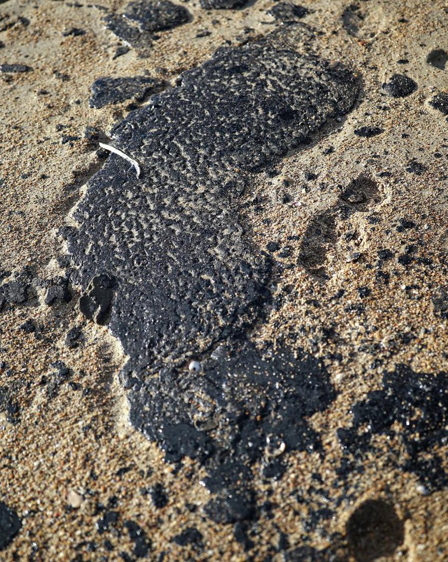 В Совфеде призвали взвешенно подходить к борьбе с загрязнением Чёрного моря