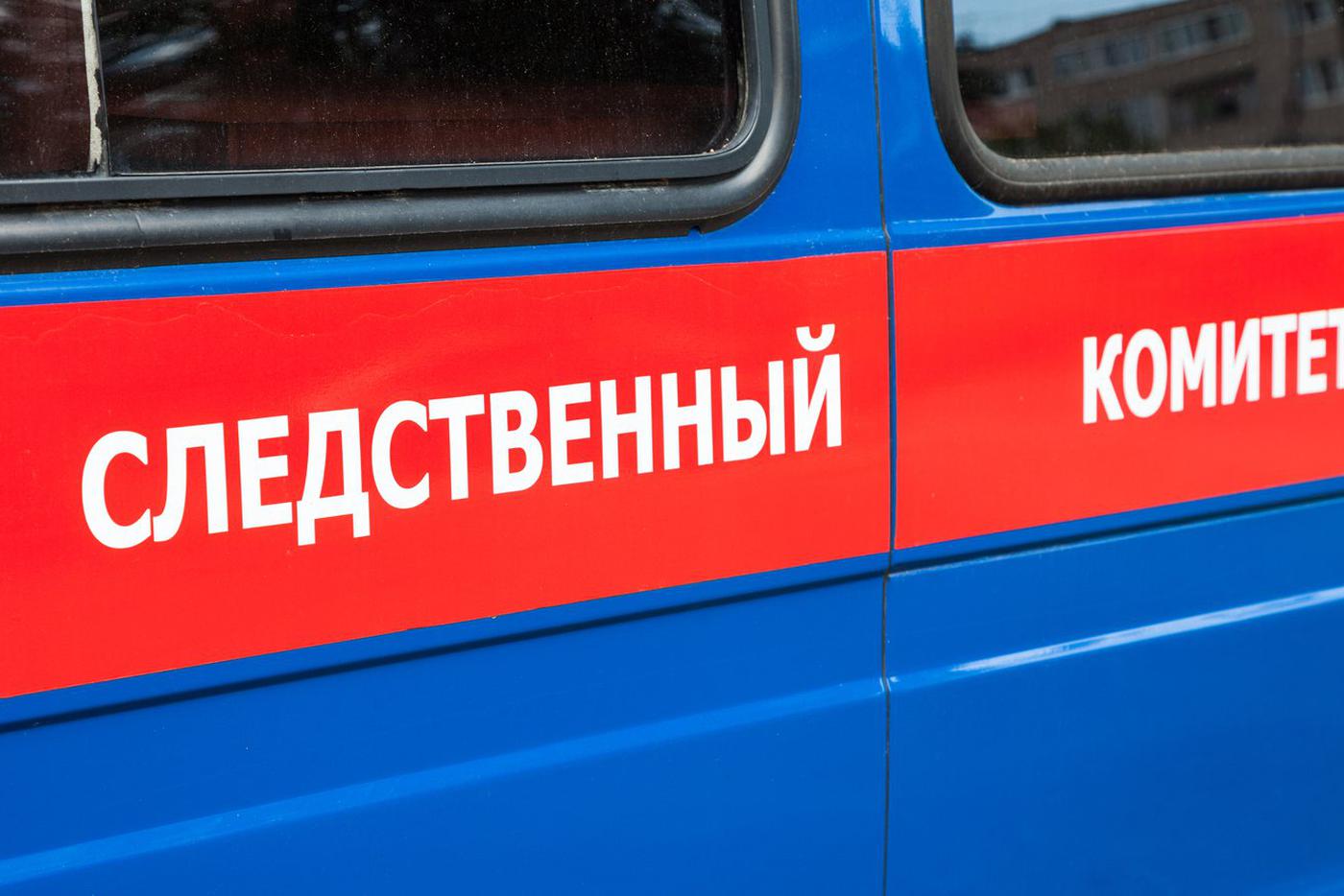 Девушку задержали на заправке в Красноярске за попытку поджога по указке мошенников