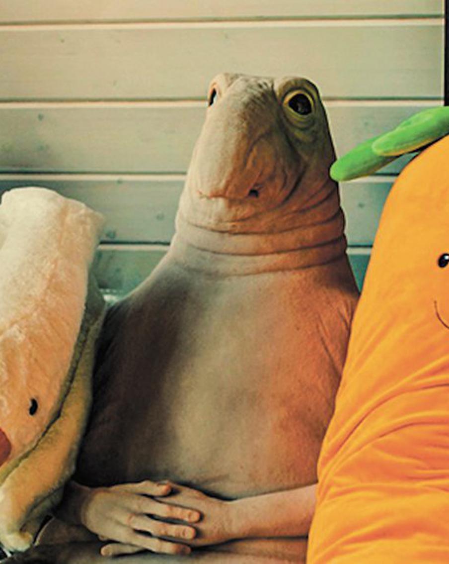 Новинки для киноманов: какие ожидаемые фильмы выйдут в 2025 году