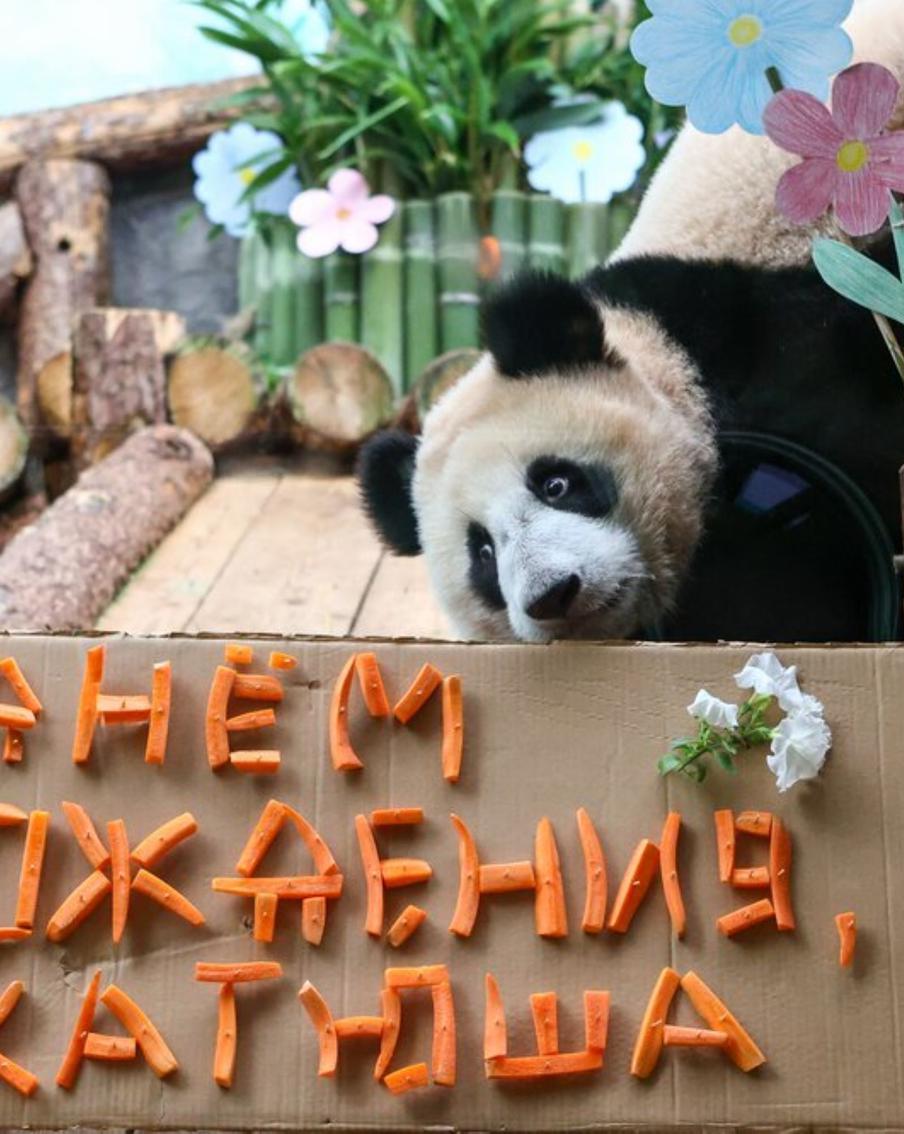 Более 38 миллионов голосов: в проекте "Активный гражданин" подвели итоги года