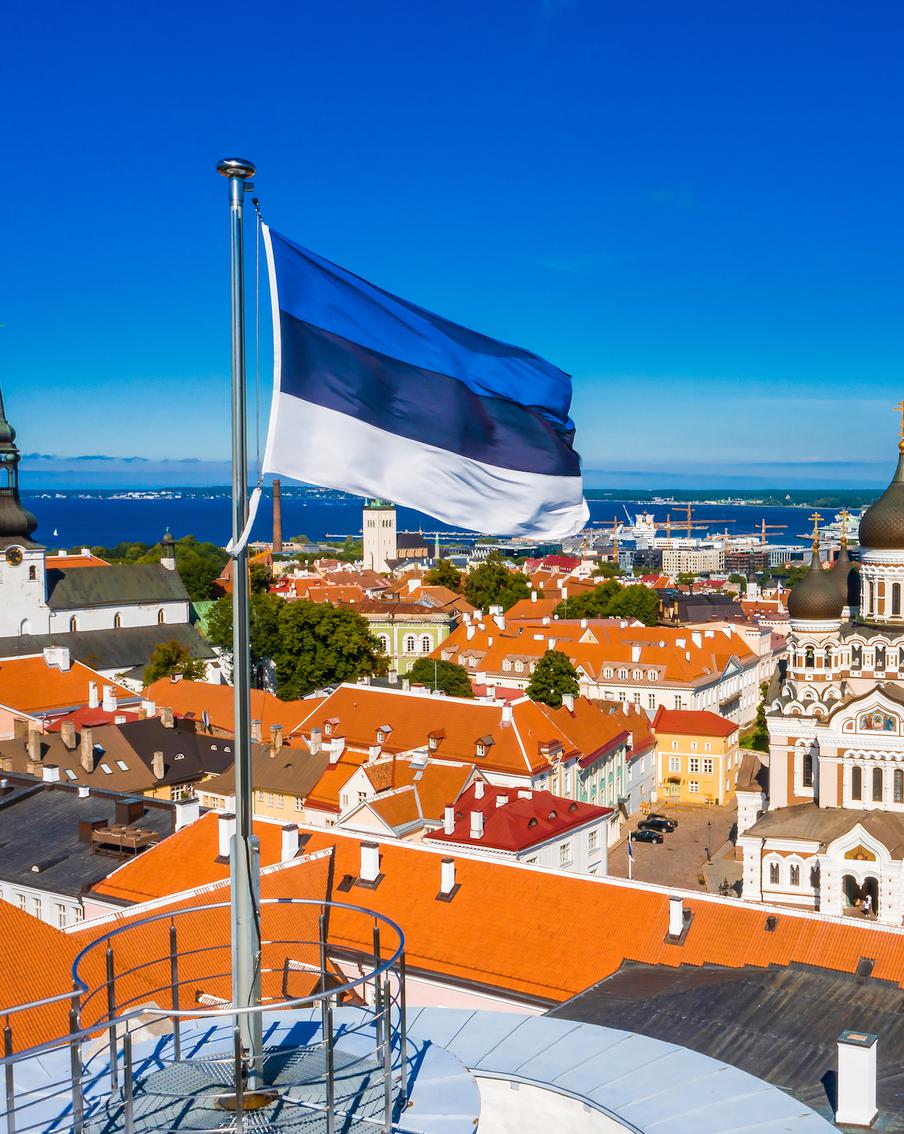 Эстонский парламент отказался от русскоязычной версии сайта