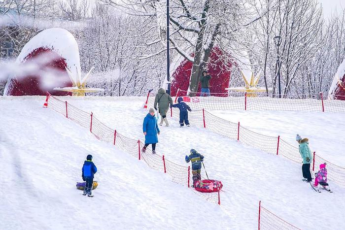 Коньки и тюбинги: Собянин рассказал, как активно провести время в парке "Яуза"