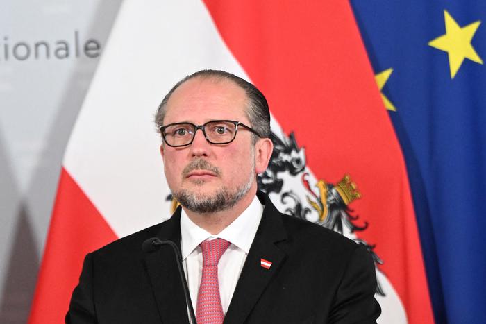 В Австрии выбрали временного канцлера &nbsp;до момента формирования правительства