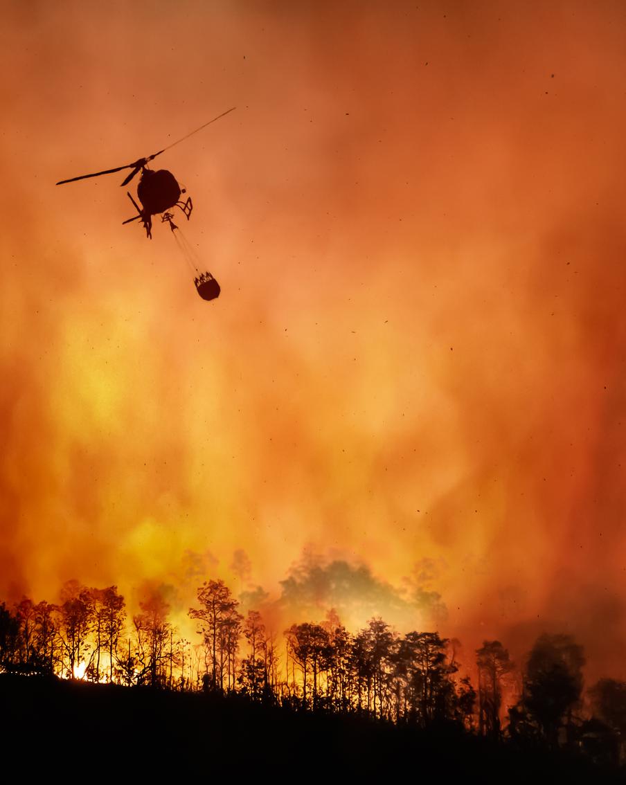 Джо Байден отложил поездку в Италию из-за бушующих пожаров в Лос-Анджелесе