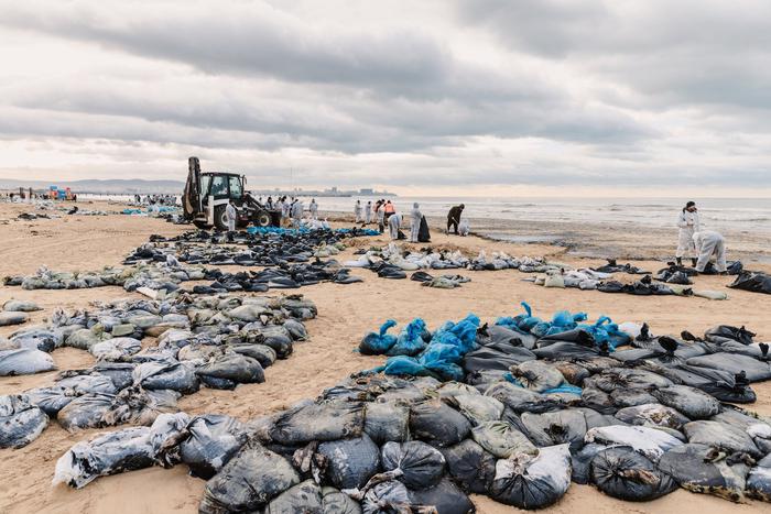 Губернатор Севастополя рассчитывает справиться с последствиями разлива мазута в Керченском проливе уже этим летом