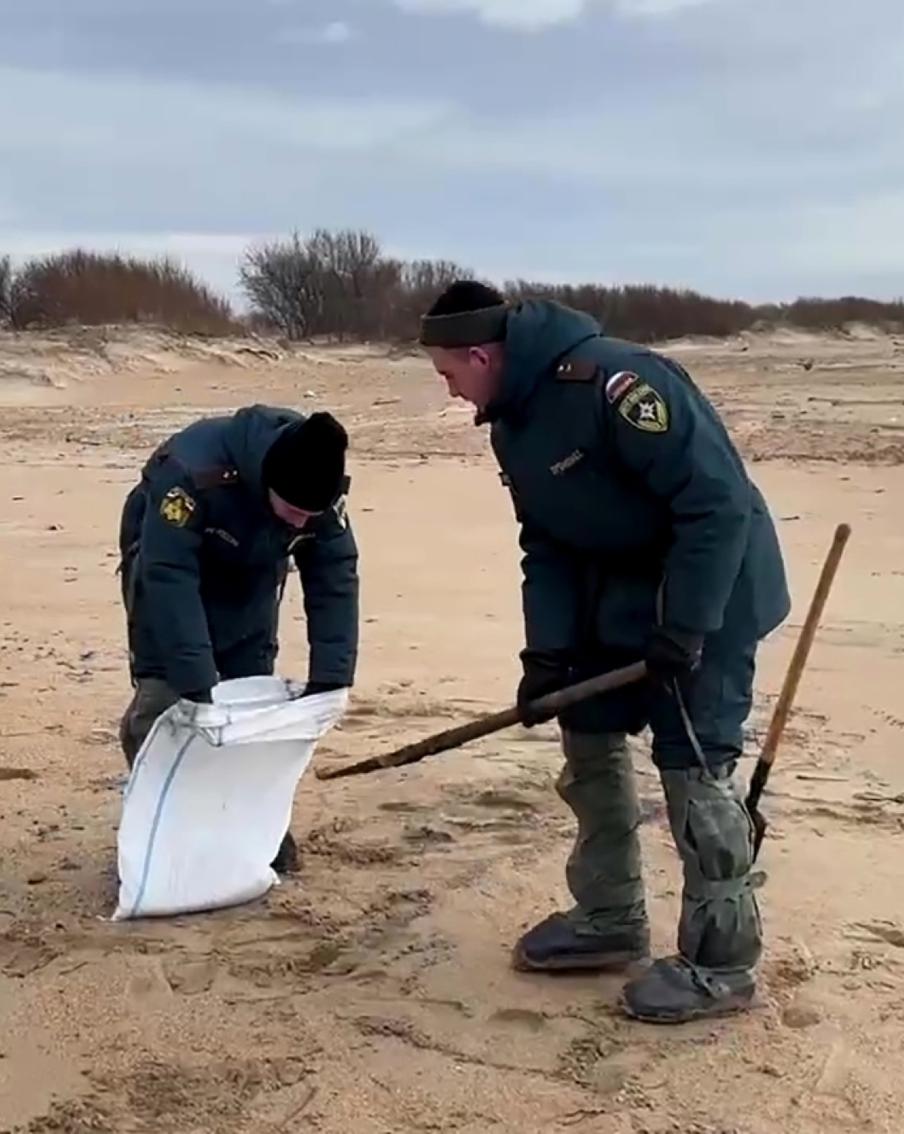 В одном из районов Крыма введён режим угрозы ЧС из-за появившихся на побережье пятен мазута