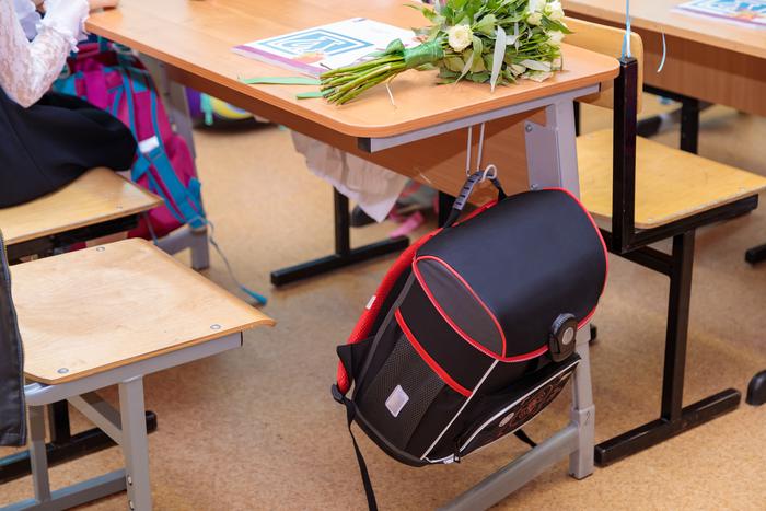 Глава РАО поддержала ввод интегральной оценки в школах