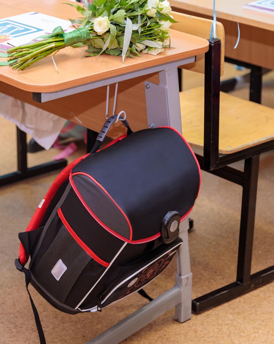 Глава РАО поддержала ввод интегральной оценки в школах