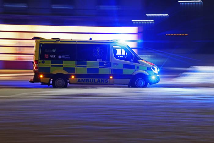 Караульный у королевского дворца в Стокгольме упал головой на штык и выжил