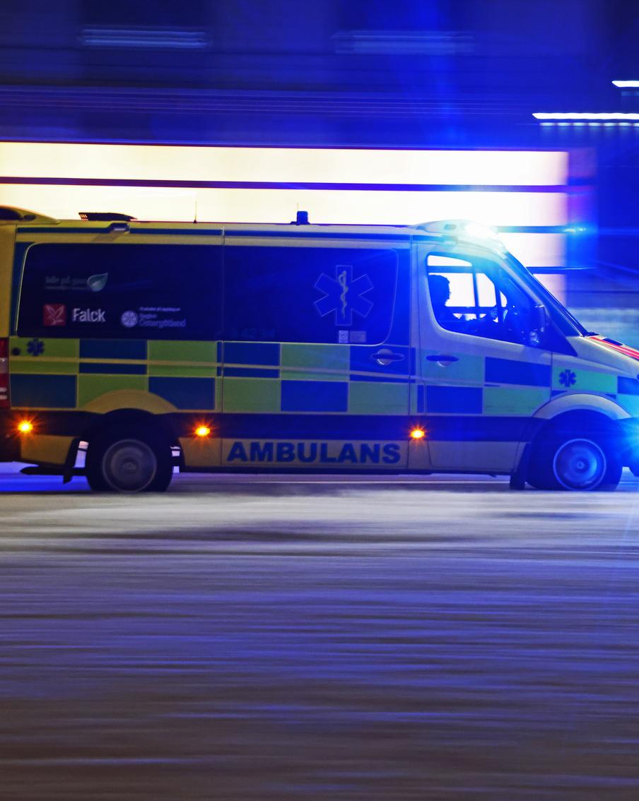 Караульный у королевского дворца в Стокгольме упал головой на штык и выжил