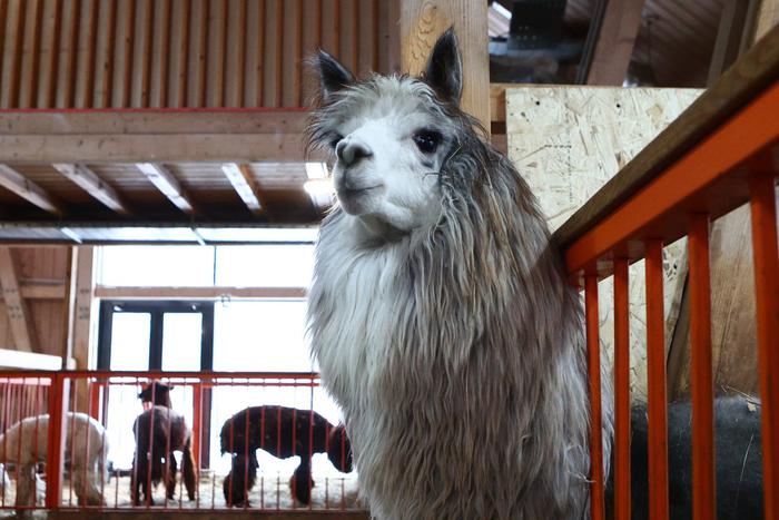 Покормить пушистиков с рук и стать частью огромного хоровода: Metro рассказывает, чем заняться сегодня в городе