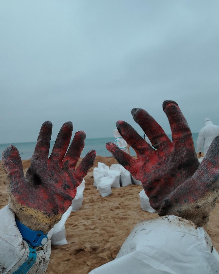 "Если бы я могла, я бы там осталась": как московские волонтёры помогают на разливе мазута в Анапе