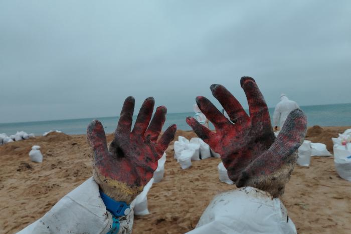 "Если бы я могла, я бы там осталась": как московские волонтёры помогают на разливе мазута в Анапе