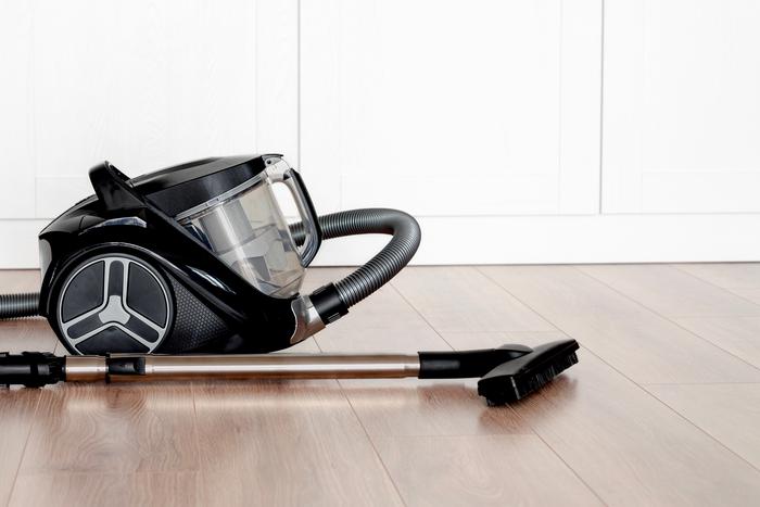 Россия закупила у Индии пылесосы на рекордную сумму