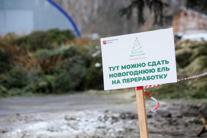 Собянин подвёл итоги работы акции "Ёлочный круговорот" за десять лет действия акции