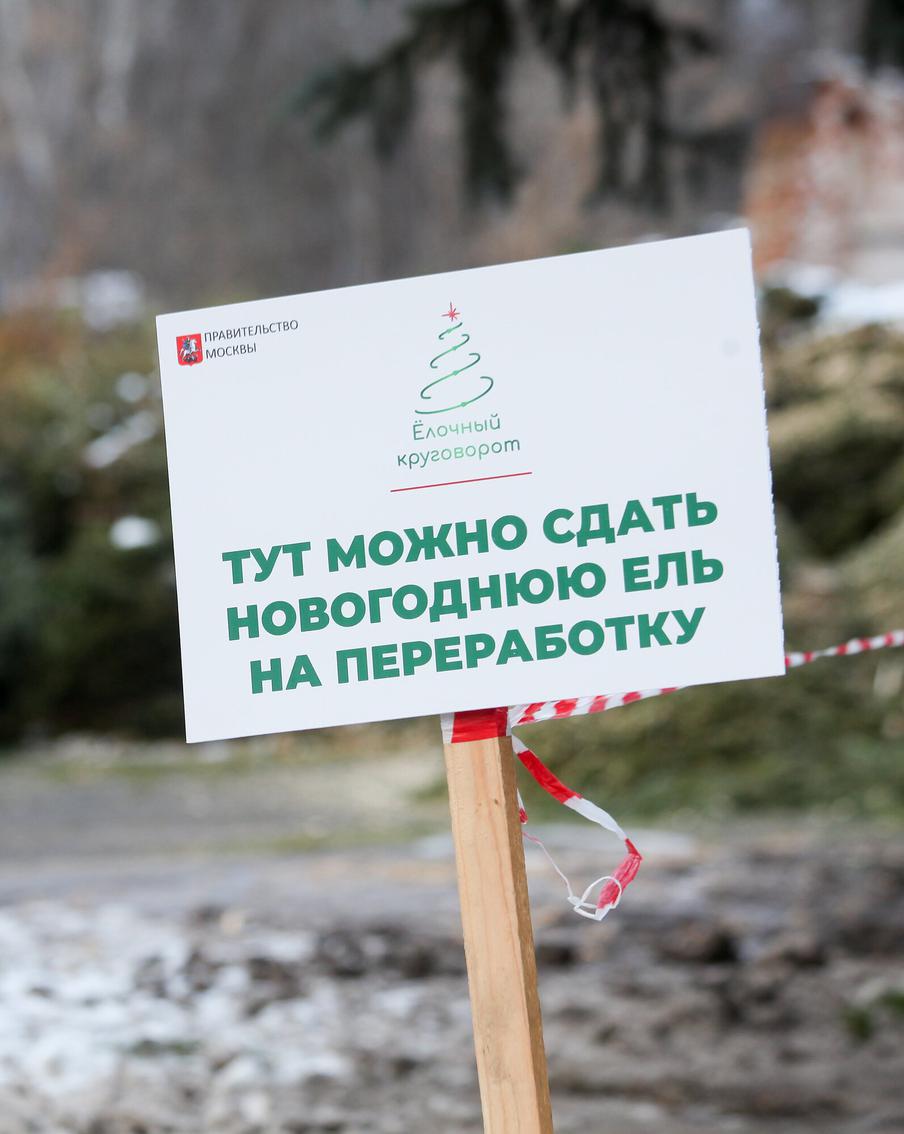 Собянин подвёл итоги работы акции "Ёлочный круговорот" за десять лет действия акции