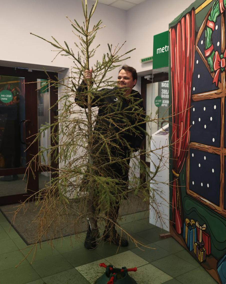 Москвичи несут свои ёлки на утилизацию. А те, кто не может, каются и хотят исправиться
