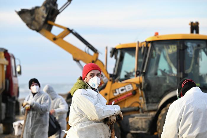 Эксперт рассказал, сколько времени может занять восстановление Чёрного моря после разлива мазута